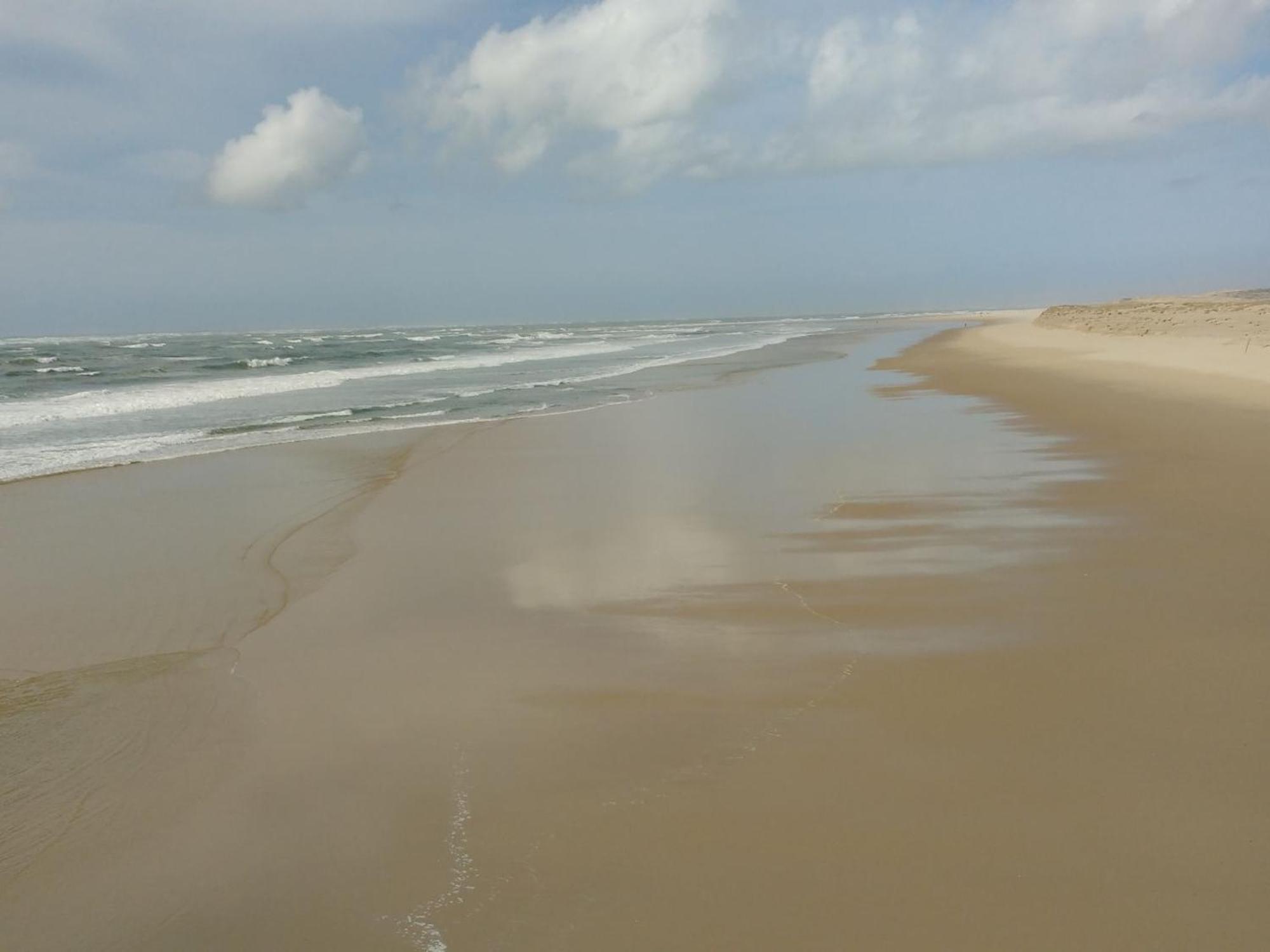 Charmant Appartement Pour 6 En Centre-Ville D'Arcachon Avec Terrasse, Parking Et Wifi - Fr-1-474-174 Экстерьер фото
